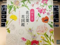 『ぬりえ花言葉・花図鑑』（ユーキャン刊）