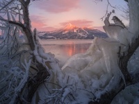 氷をまとった湖畔の木々と、朝焼けに染まる磐梯山... あまりにも芸術的な「福島の冬」にうっとり