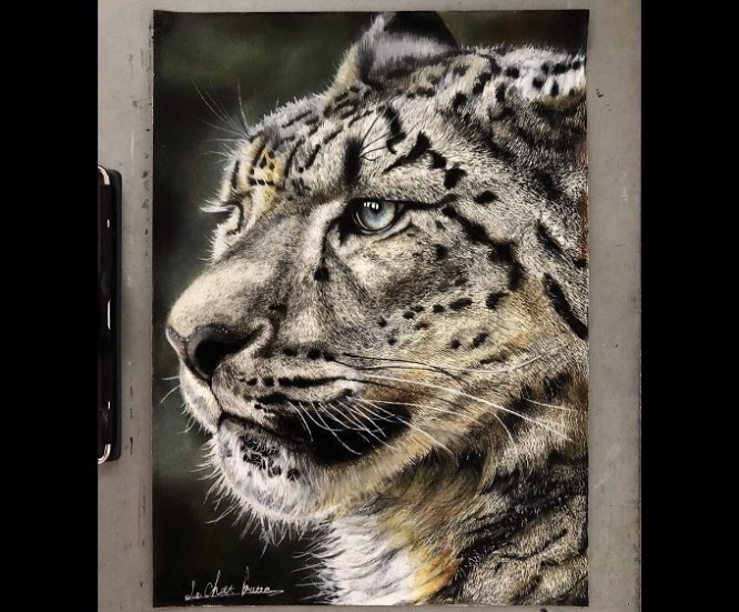 色鉛筆で描かれたユキヒョウ（長靴をはいた猫さんのツイートより）