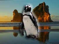 全てのペンギンの祖先は8番目の失われた大陸ジーランディアにいた