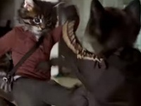 猫人間が魚の密売組織に乗り込んで大乱闘だと？トヨタカローラの面白CM