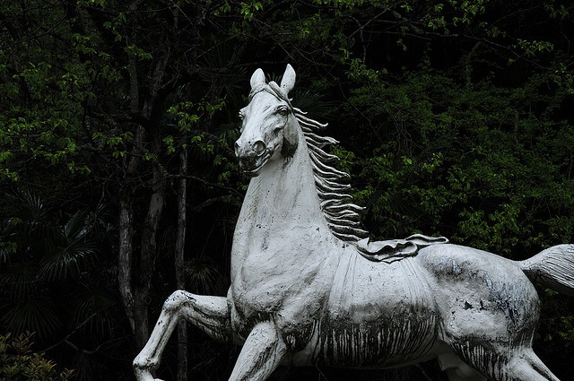 Hanibe Gankutuin Temple(2009.4.25) - 11