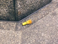 ちょっと寂しげ（写真はあやのさんのツイートより）
