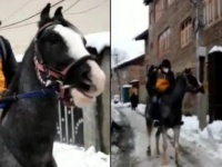 馬に乗って荷物を届けるAmazonの配達人、雪で車両が通れない地域に（インド）