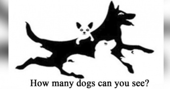 この絵の中に犬は何匹見える？見えた犬の数で精神年齢がわかるという面白心理テスト（占い）