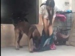 女性のスカートを瞬時に脱がせてしまう“スケベ犬”の妙技