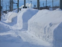 「除雪しても除雪しても、車庫前にうずたかく積まれる雪。向かいの家の窓からは、老婆がジッとこちらを見ていて...」（新潟県・60代男性）