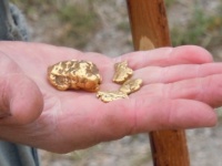 マジ錬金術師。毒性のある金属を食べ、小さな金塊のフンを出す微生物
