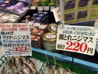 写真はすべてひまわり市場さんの提供