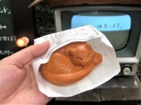 かわいい（2019年9月撮影）