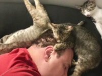 昨日私がベッドで本を読んでいる間、夫と猫がダンゴムシ状態でソファで寝ていた件