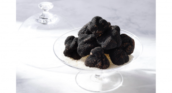 みなとみらいPRセンターのプレスリリース画像