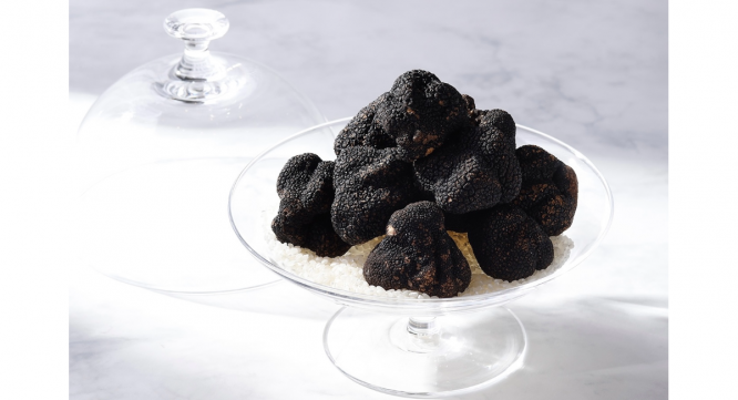 みなとみらいPRセンターのプレスリリース画像