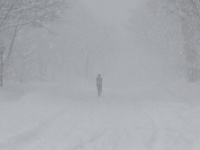 「大学のど真ん中で遭難するとこだった」　北大札幌キャンパスがほぼ雪山でビックリ→しかもカメラが捉えていたのは...