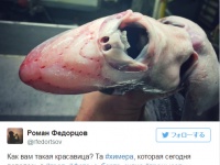 ロシアの釣り人が公開した、見た目がコワい深海生物の数々