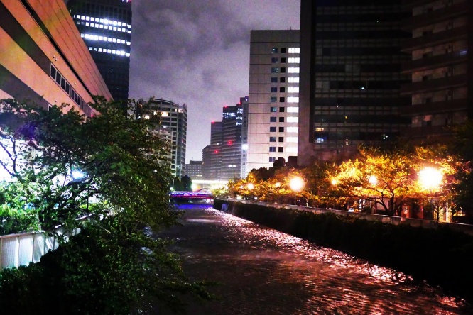 tokyo-taifu12