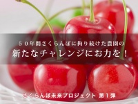 ドリームバンク株式会社のプレスリリース画像