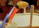 「なんじゃこりゃ！？」初めて炭酸水を口にしたオニオオハシのリアクションがこちら。