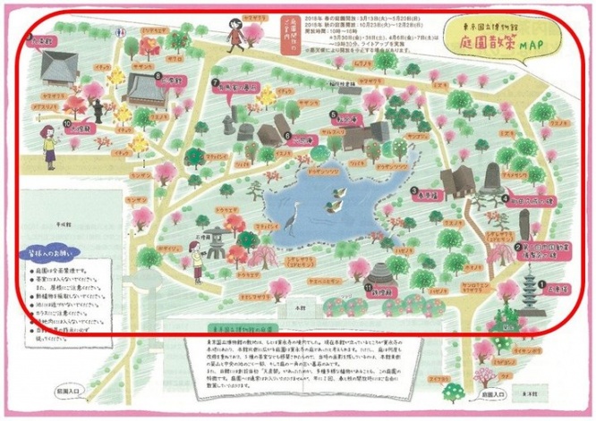 京都フラワーツーリズムのプレスリリース画像