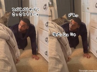 猫、飼い主を強化中。凄腕のトレーナーとして特訓中