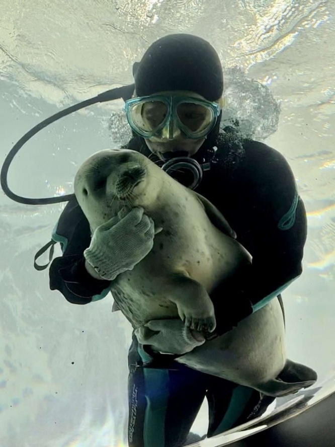 完全人工哺育で育ったミゾレ（画像提供：ガッチリカ(＠GacchiRika)さんのツイッターより）