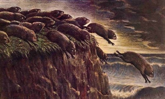 動物も自殺をするのか?自殺をしないという科学的根拠は得られず(米研究)