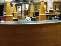 静かなる場所「図書館」なのに思わずクスッとさせられてしまう職員たちのユーモアの数々