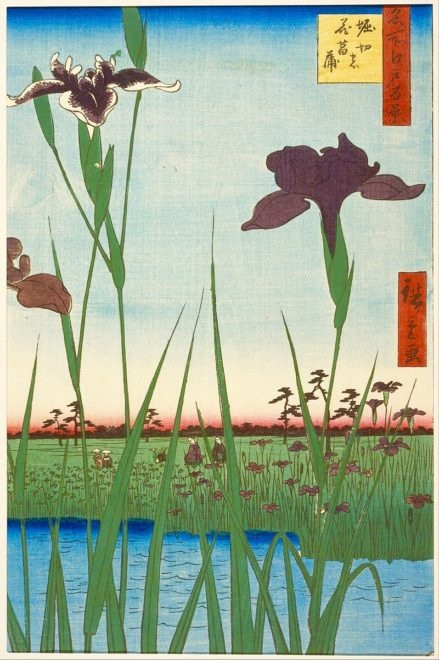 歌川広重「名所江戸百景 堀切の花菖蒲」