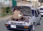 これ危ねえだろ！　走る車の上で修理するパキスタンの整備士