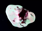 お腹が空いてきちゃう…ピザやアイスクリームが焼けたり溶けたりする映像集