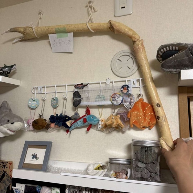 角度が絶妙すぎる...（画像は＠MLavcaさん提供）