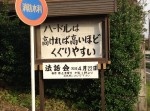 気負わなくてもいいんだ。　頑張りすぎてる人に送りたい心がスッと軽くなる言葉７選