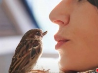 スズメも犬みたいに懐くんだ！生まれたばかりで保護されたハッピーという名の雀の物語