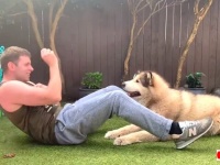 犬や猫が一緒だとトレーニングも捗るよ！ロックダウン中の体力維持にペットとやるエクササイズはいかが？