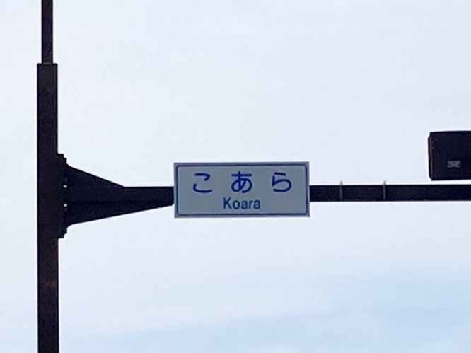 こあら交差点(画像提供：鴨川ねぎ＠Negi_Kamogawaさん)