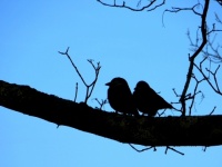 ヒロミ 妻・伊代と別れたいと思う瞬間