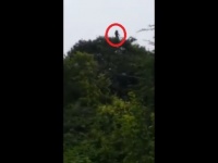 伝説の幽霊か！？樹上に出現した泣き叫ぶ女性の霊らしき物体（コロンビア）