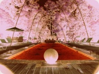 自身も内向性である作家が指摘する内向性の人に対する誤った10の認識「内向的な人に関する10の神話」