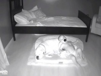 ペットのボクサー犬が好きすぎる赤ちゃん「こんなことしてた！」深夜の行動を監視カメラでチェックしてみた結果