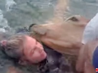 牛が湖でおぼれてる！疲れ切って泳げなくなった牛を助けるために、ボートからできることは何？