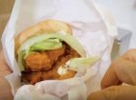 【はいじぃ迷作劇場】ケンタッキーに圧倒的ボリュームの新メニューが登場している！！