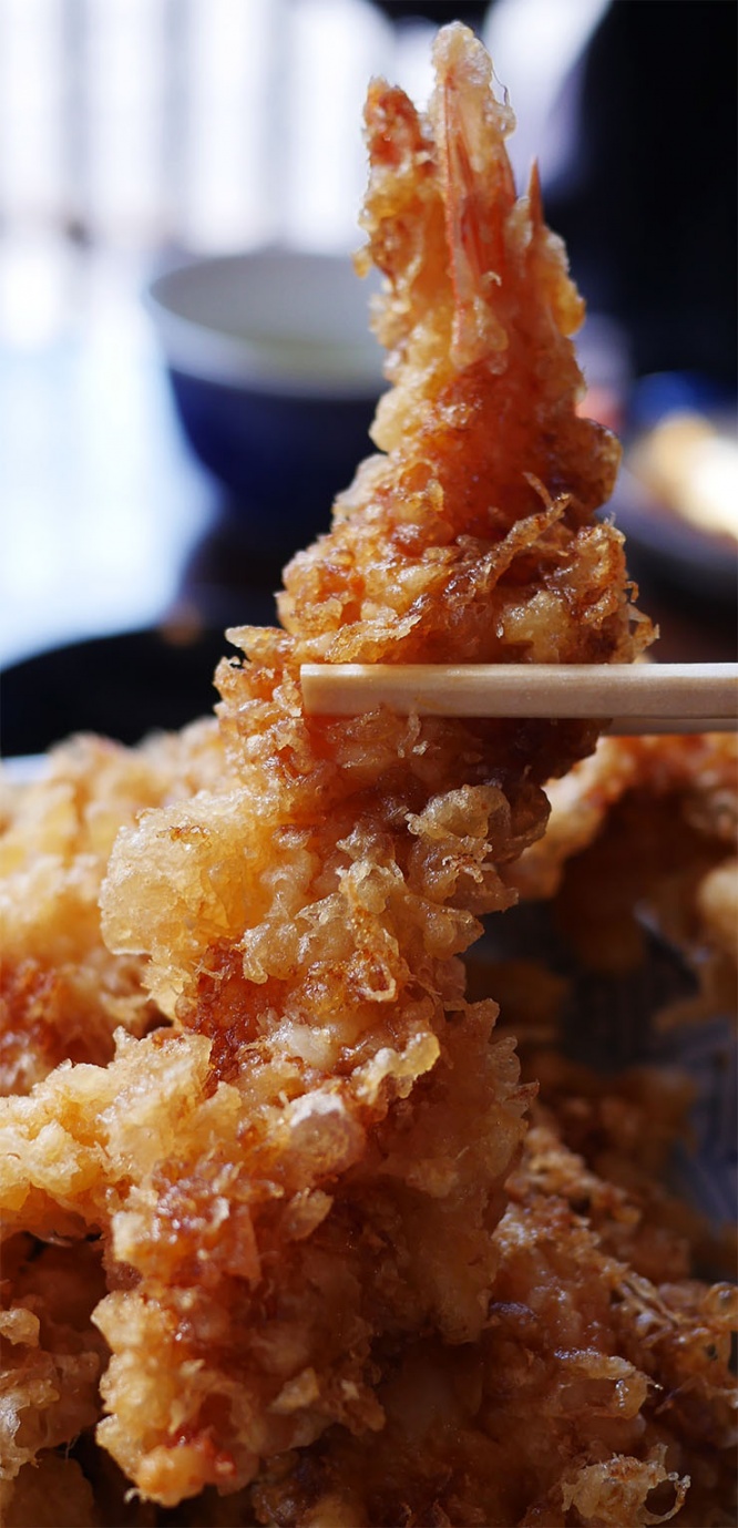tendon10