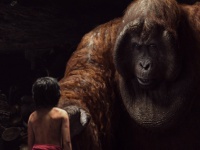 ウォルト・ディズニーからの挑戦状？！『ジャングル・ブック』スタッフの工夫がアツい！実はあのオスカー俳優も出演【本編映像】