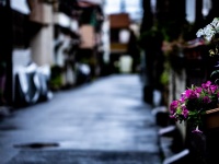 道路族が嫌...（画像はイメージ）