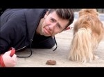 【ドッキリ】知らない人の前で犬のう○こ食べてみたｗｗｗ
