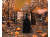 【心理テスト】魔法使いに変えられてしまったのは？　「あなたの理想のパートナー」