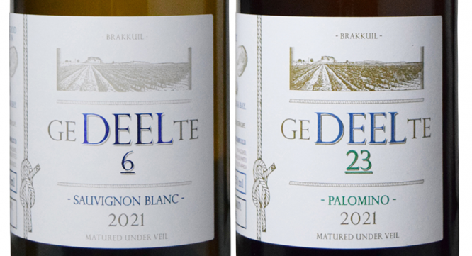 株式会社モトックスのプレスリリース画像