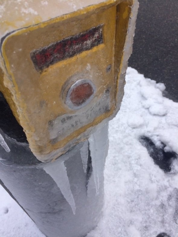 選取みどりさん（＠midori_yoridori）のツイート