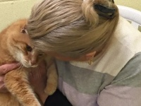 同じ日に施設に引き取られた2匹の老猫、1匹だけ引き取られるも再び巡り合うまでの物語（アメリカ）