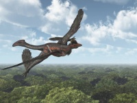 4つの翼をもつ恐竜「ミクロラプトル」が教えてくれる、現代の鳥類の翼が2つしかない理由